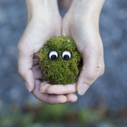 Foto de R3 Notícias